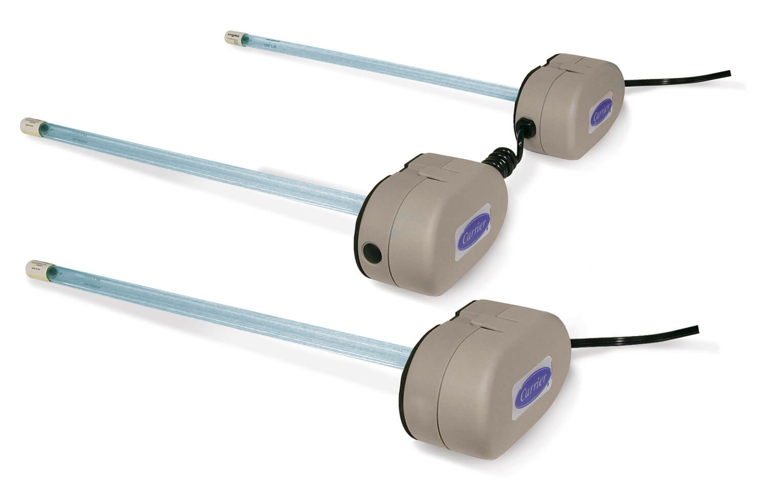 UV Light from Reidy