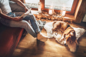 A man reads a book with his dog at his feet, relaxing at home.